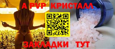стаф Камышлов