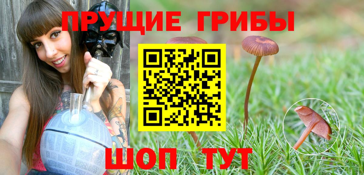 Псилоцибиновые грибы мицелий  Вход с VPN  Коркино 